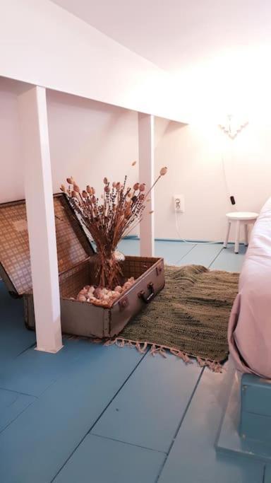 Olga'S Cottage Den Helder Exterior foto
