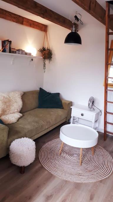 Olga'S Cottage Den Helder Exterior foto